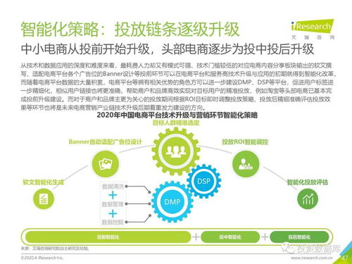 2020年中國(guó)電商營(yíng)銷(xiāo)市場(chǎng)研究報(bào)告 經(jīng)營(yíng)電子商務(wù)的機(jī)遇與挑戰(zhàn)